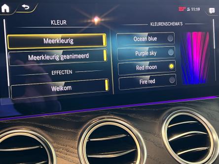MERCEDES-BENZ E 220 d AMG Night Pack, Trekhaak, 20 Inch Alu