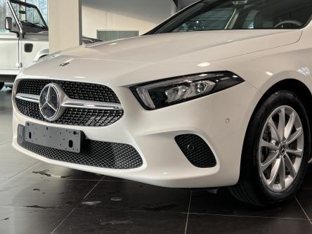 MERCEDES-BENZ A 160 Progressive Panorama, Led, Dodehoek Assist, DAB
