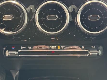 MERCEDES-BENZ B 250 e Progressive Led High Performance, Camera, Mbux, DAB