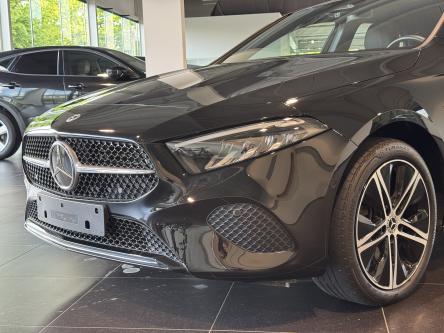 MERCEDES-BENZ A 250 e Progressive Panorama, Dodehoeks Assist, Mbux, DAB, Led