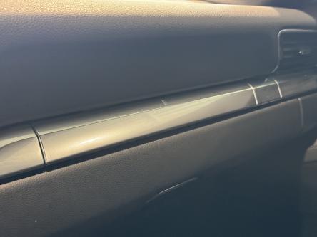 PORSCHE 911 Carrera 4 Panorama, Sport uitlaat, PASM, Bi-Xenon
