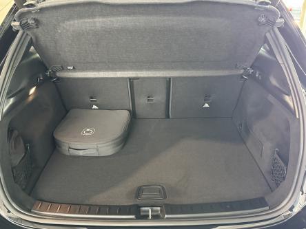 MERCEDES-BENZ EQA 250 AMG Amg, Mbux, Achteruitrij Camera, DAB