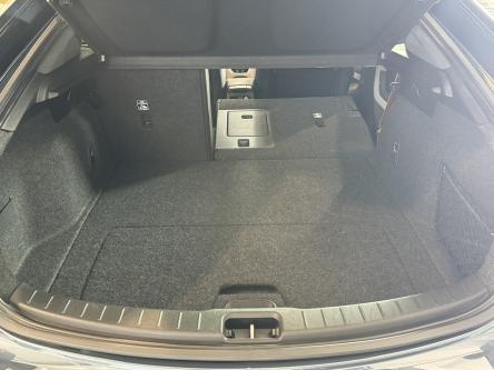 POLESTAR 2 78 kWh Dual Motor Panorama, 360 Camera, Led, DAB