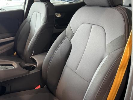 POLESTAR 2 78 kWh Dual Motor Panorama, 360 Camera, Led, DAB