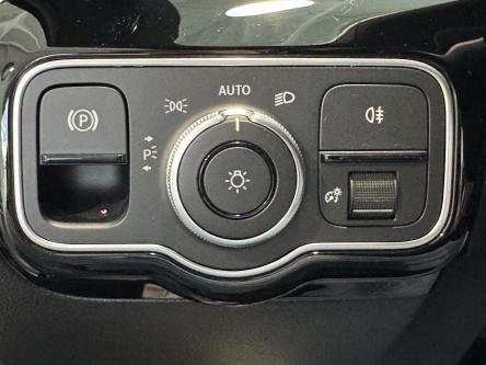 MERCEDES-BENZ A 250 e Distronic, Dodehoeks Assist, Camera, Led