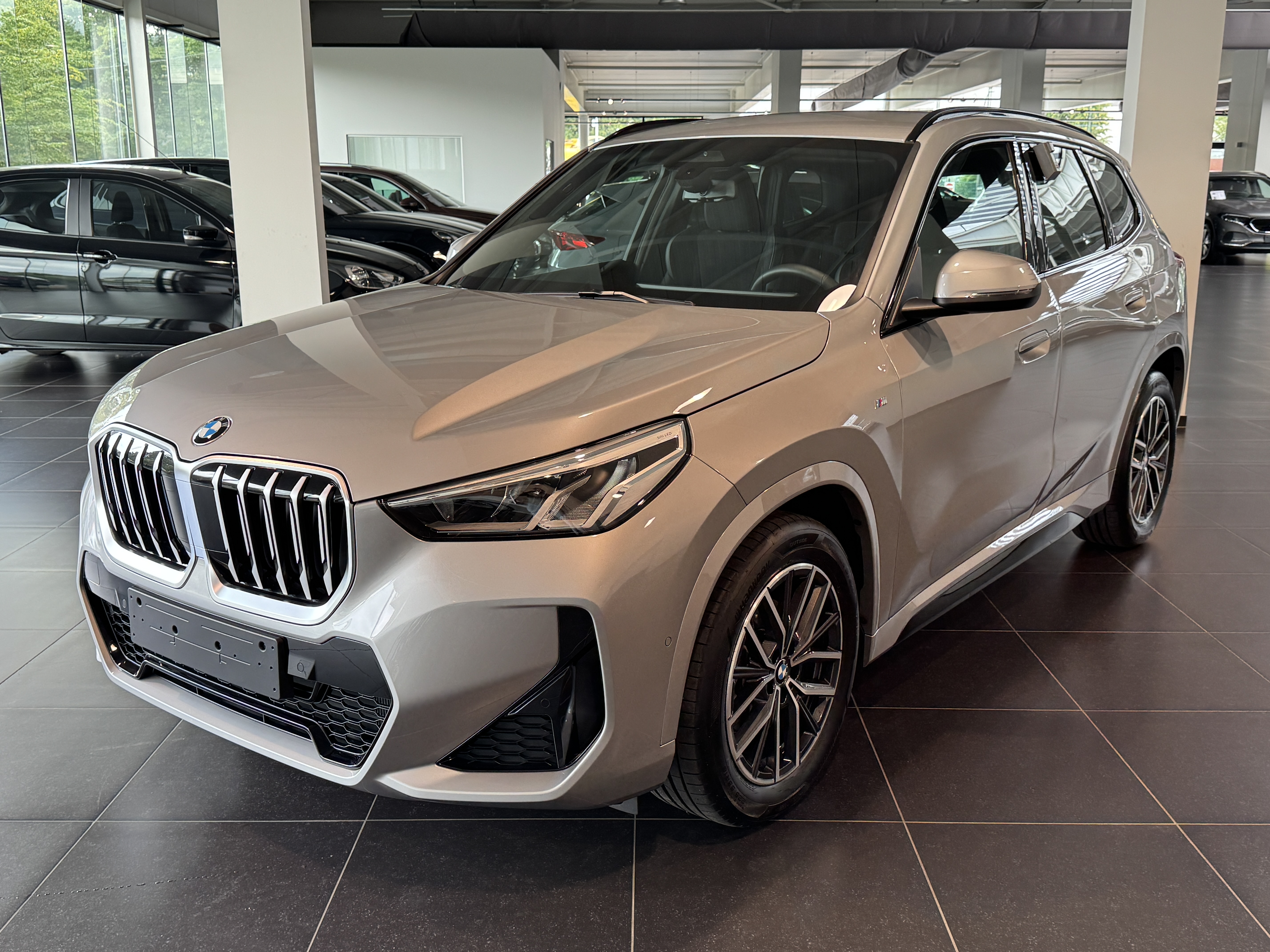 BMW X1 sDrive18i M Sport Camera, DAB, Sfeer