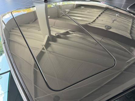 PORSCHE 911 3.2 WTL Full History!