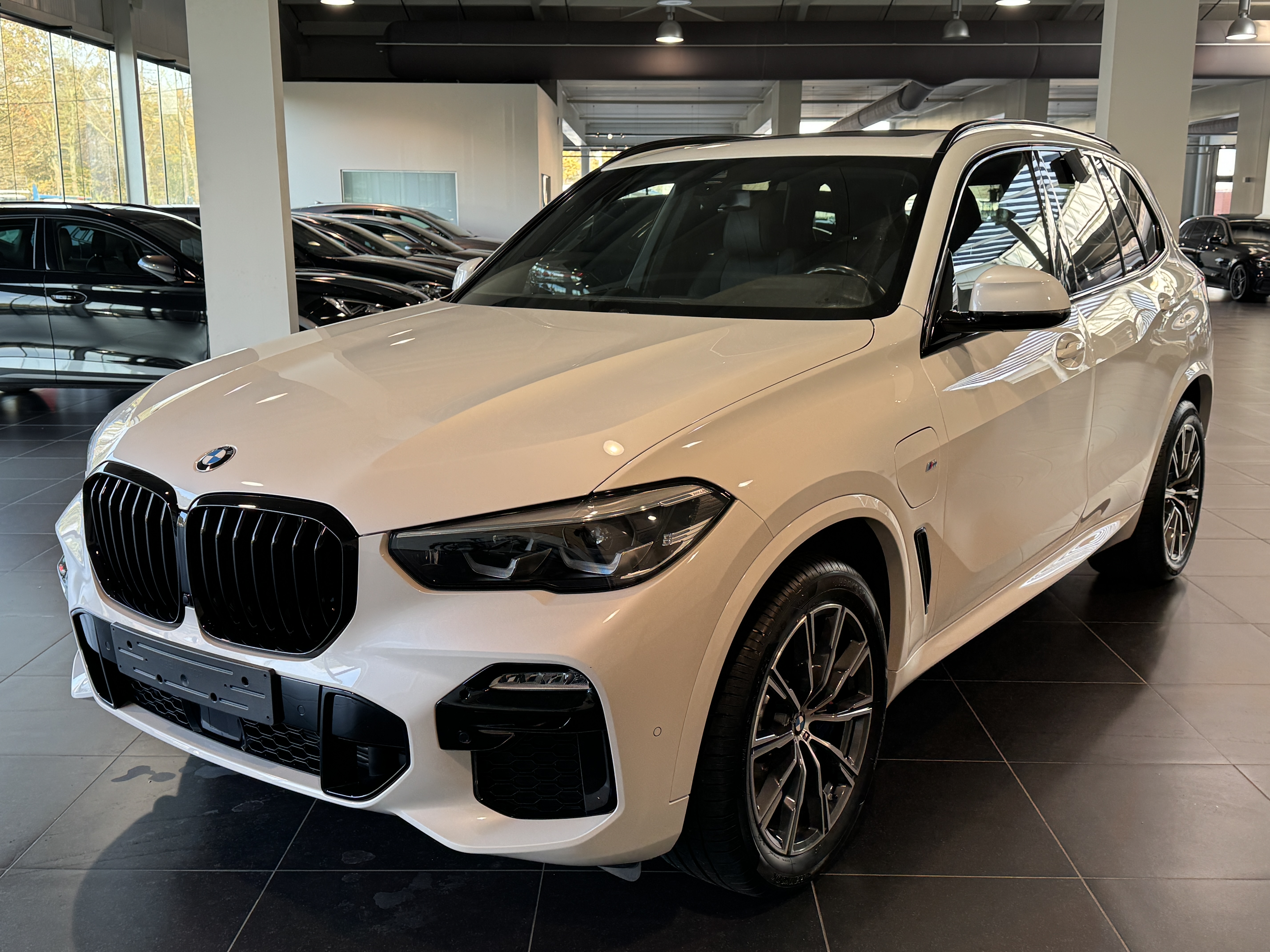 BMW X5 XDrive 45e M-Sport Panorama, Trekhaak, Camera, Led