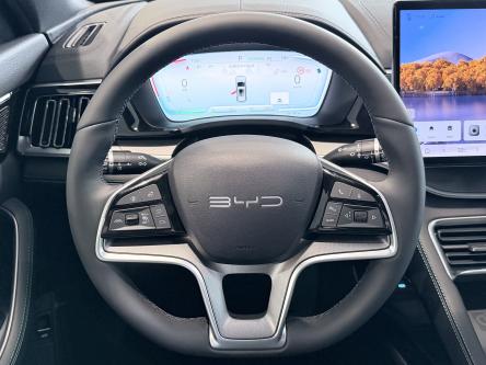 BYD Seal U DM-i Boost Panorama, Head-Up Display, 360 Camera, Infinity Sound
