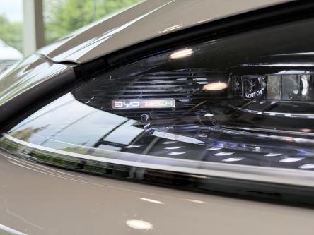 BYD Seal U DM-i Boost Panorama, Head-Up Display, 360 Camera, Infinity Sound