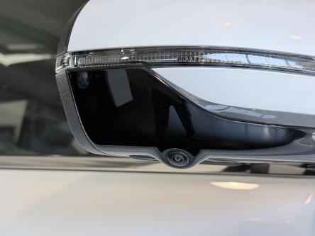 BYD Seal U DM-i Design AWD 324 pk Panorama, Head-Up Display, 360 Camera, Infinity Sound