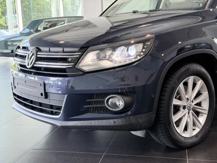 VOLKSWAGEN Tiguan  PANO / XENON / Leer