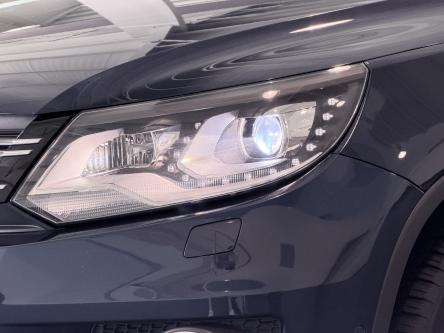 VOLKSWAGEN Tiguan  PANO / XENON / Leer
