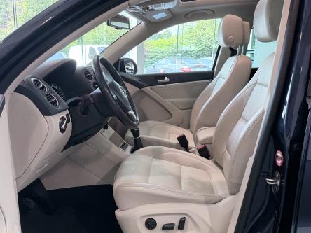 VOLKSWAGEN Tiguan  PANO / XENON / Leer