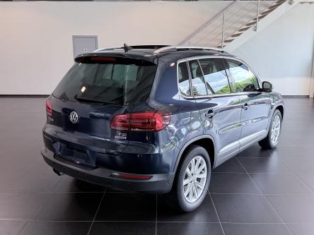 VOLKSWAGEN Tiguan  PANO / XENON / Leer