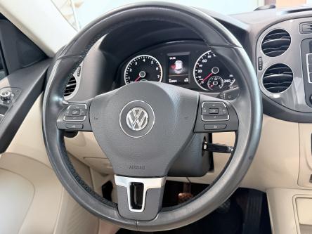 VOLKSWAGEN Tiguan  PANO / XENON / Leer