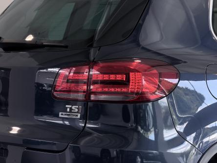 VOLKSWAGEN Tiguan  PANO / XENON / Leer