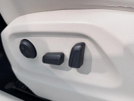 VOLKSWAGEN Tiguan  PANO / XENON / Leer