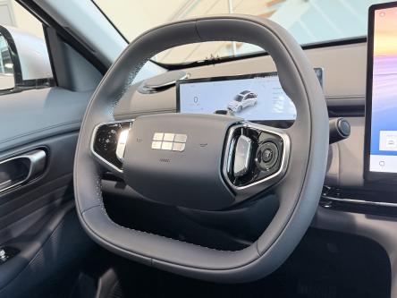 GEELY Starray EM-i 1.5 EM-i PHEV Pro / 83KM EV / Leder / ACC / Led / 360 Camera