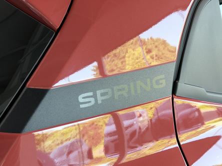 DACIA Spring Extreme 
