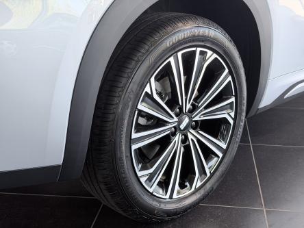 GEELY Starray EM-i 1.5 EM-i PHEV MAX / 136KM EV / PANO / Leder / ACC / Led / 360 Camera