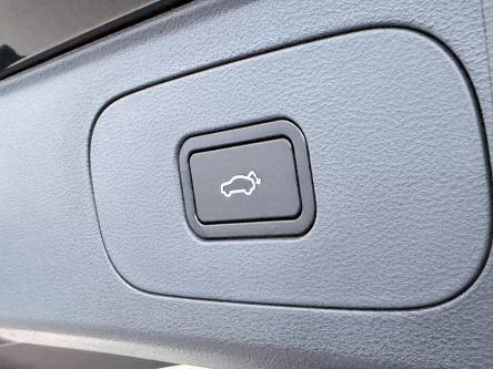 GEELY Starray EM-i 1.5 EM-i PHEV MAX / 136KM EV / Leder / ACC / PANO / 360 Camera