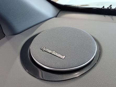GEELY Starray EM-i 1.5 EM-i PHEV MAX / 136KM EV / Leder / ACC / PANO / 360 Camera