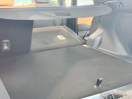 GEELY Starray EM-i 1.5 EM-i PHEV MAX / 136KM EV / Leder / ACC / PANO / 360 Camera