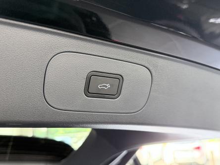 GEELY Starray EM-i 1.5 EM-i PHEV MAX+ / 136KM EV / Leder / ACC / PANO / 360 Camera