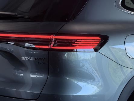 GEELY Starray EM-i 1.5 EM-i PHEV MAX+ / 136KM EV / Leder / ACC / PANO / 360 Camera