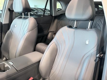 GEELY Starray EM-i 1.5 EM-i PHEV MAX+ / 136KM EV / Leder / ACC / PANO / 360 Camera