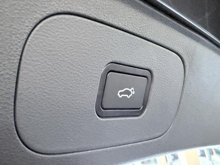 GEELY Starray EM-i 1.5 EM-i PHEV MAX+ / 136KM EV / Leder / ACC / PANO / 360 Camera