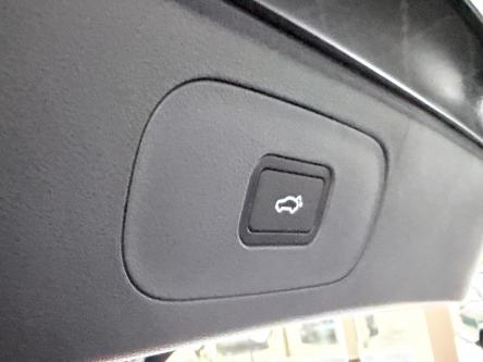 GEELY Starray EM-i 1.5 EM-i PHEV MAX+ / 136KM EV / PANO / Leder / ACC / Led / 360 Camera